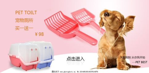寵物廁所海報(bào)設(shè)計(jì)指南與實(shí)用模板素材
